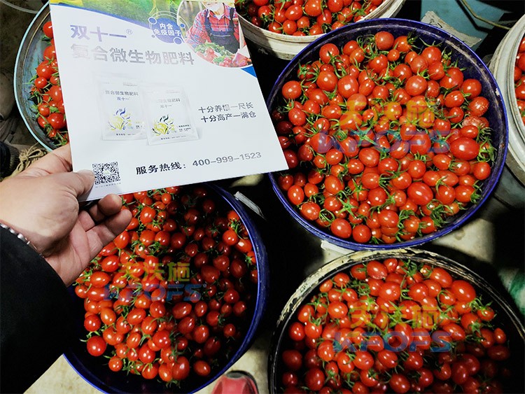 夫沃施進(jìn)口肥怎么樣？