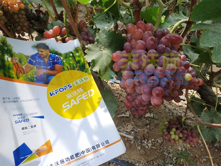 磷酸二氫鉀為什么都說粉劑的好？