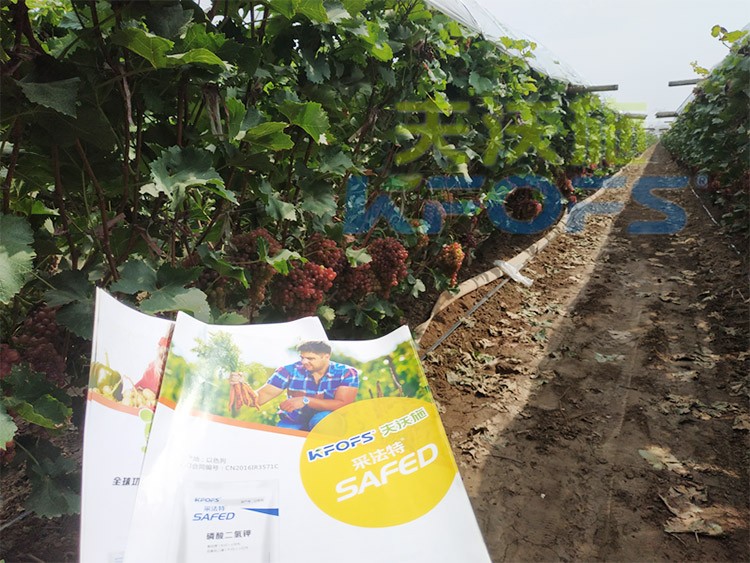 磷酸二氫鉀為什么都說粉劑的好？