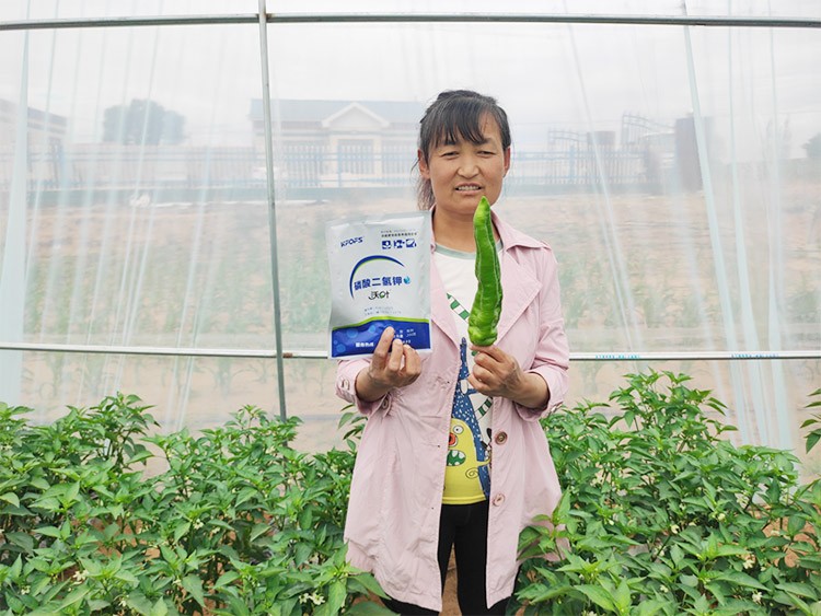 磷酸二氫鉀不好用？那是因為沒選對！