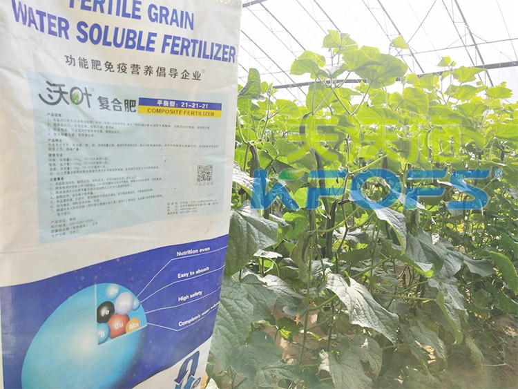 水溶肥那么多，為什么推薦你用這款？