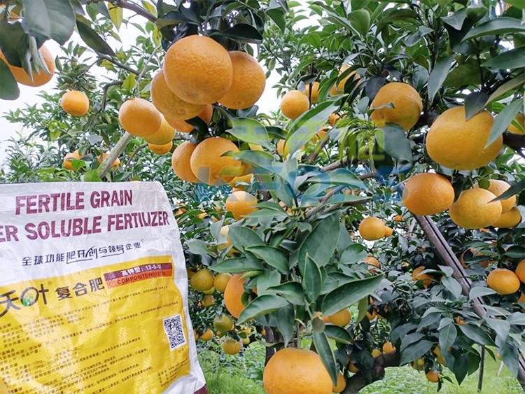 柑橘膨果轉(zhuǎn)色期用什么水溶肥好？