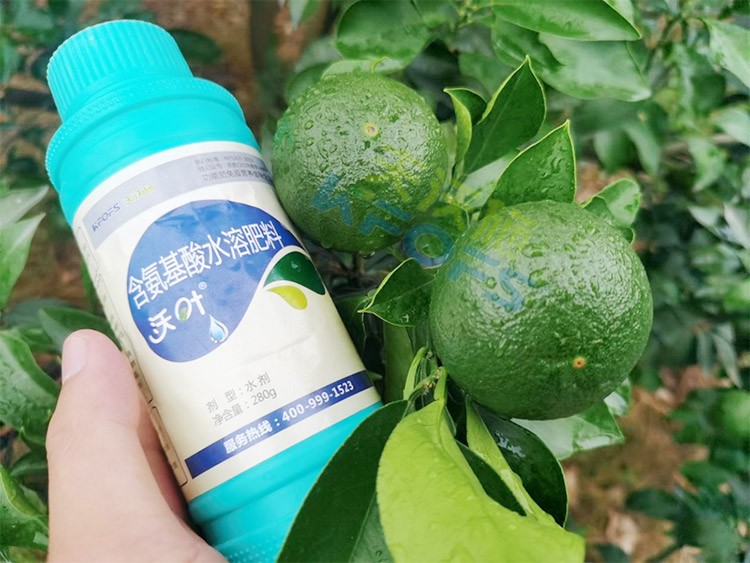 柑橘膨果轉(zhuǎn)色期用什么水溶肥好？