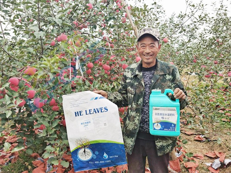 蘋果樹用什么生根肥好？看看這款！