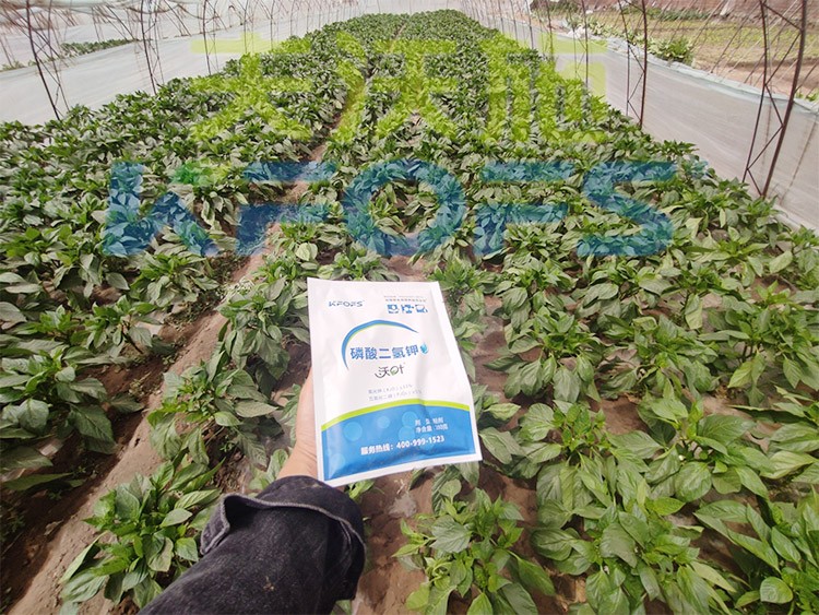 磷酸二氫鉀廠家，這家不要錯(cuò)過！