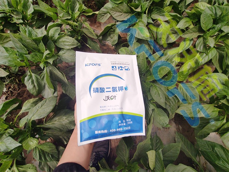 磷酸二氫鉀廠家，這家不要錯(cuò)過！