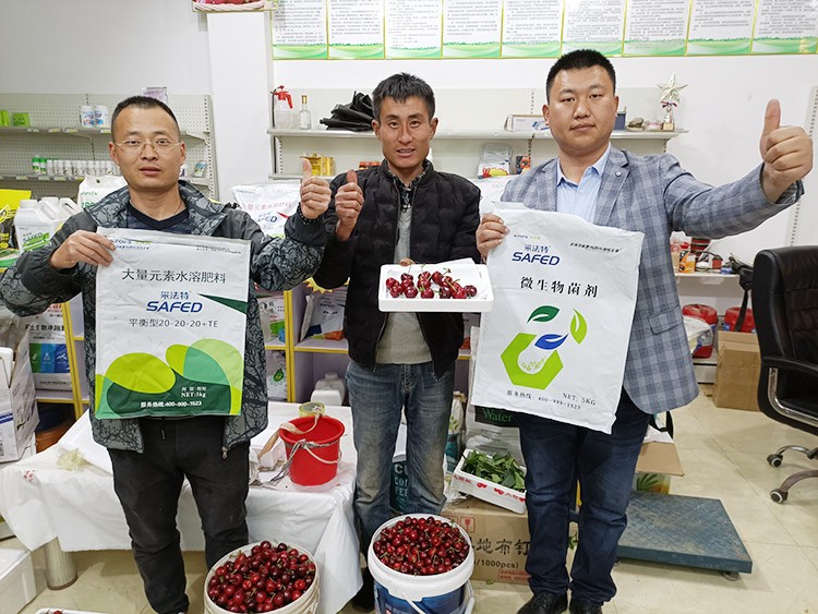 水溶肥哪家好？看完這篇不疑惑！