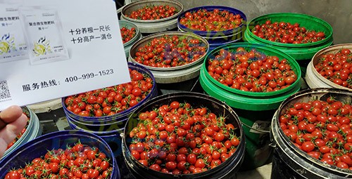 夫沃施進(jìn)口肥怎么樣？