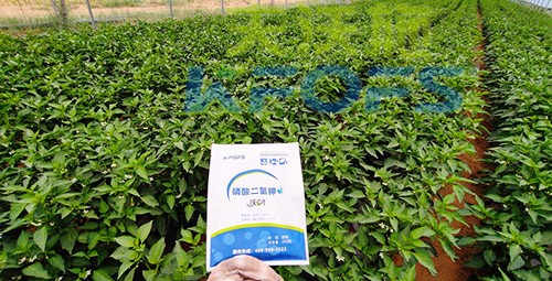 磷酸二氫鉀不好用？那是因為沒選對！