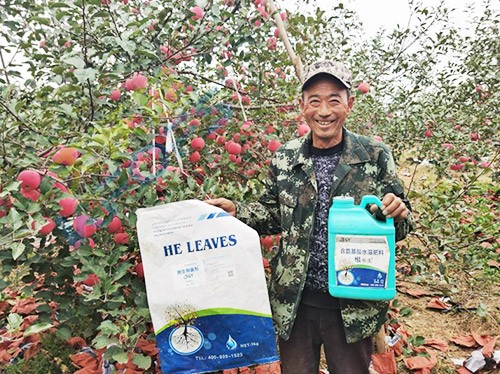 蘋(píng)果樹(shù)用什么生根肥好？看看這款！