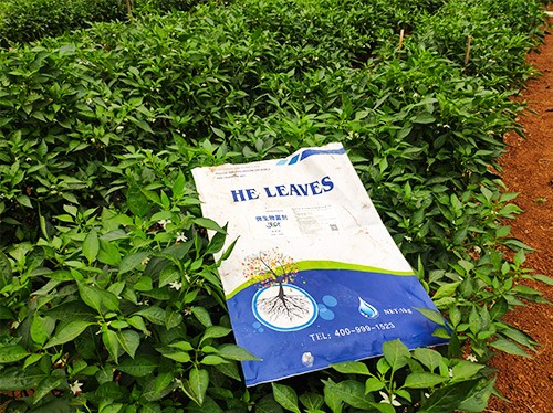 辣椒用什么水溶肥病害少？