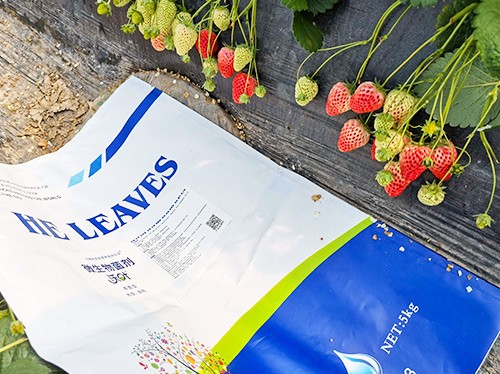 黃瓜養(yǎng)根肥料哪個(gè)好？