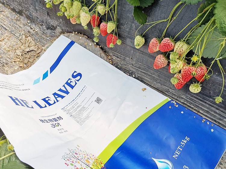 草莓微生物菌劑哪種好？別用錯了！