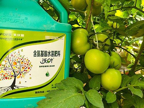 蔬菜沖施肥哪個(gè)品牌好？經(jīng)驗(yàn)實(shí)談