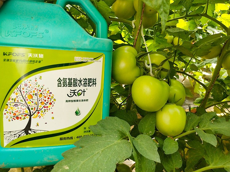 蔬菜沖施肥哪個品牌好？經驗實談