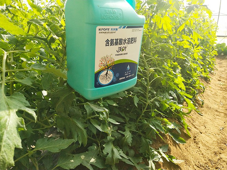 蔬菜沖施肥哪個品牌好？經驗實談