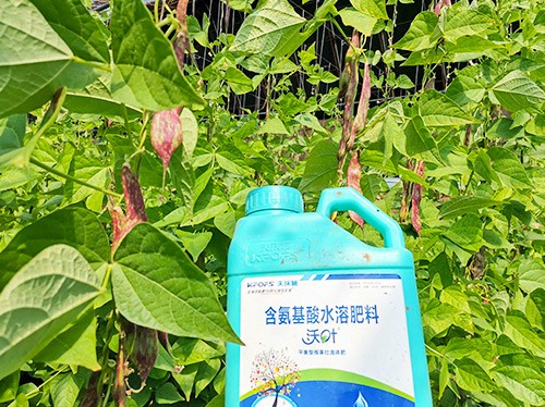 進口水溶肥，懂行的人都這么選！