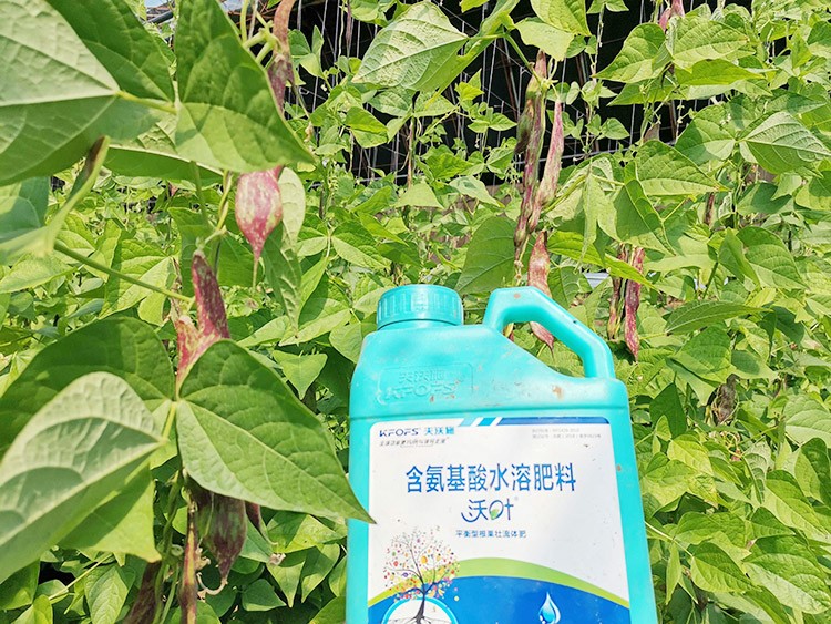 進(jìn)口水溶肥，懂行的人都這么選！