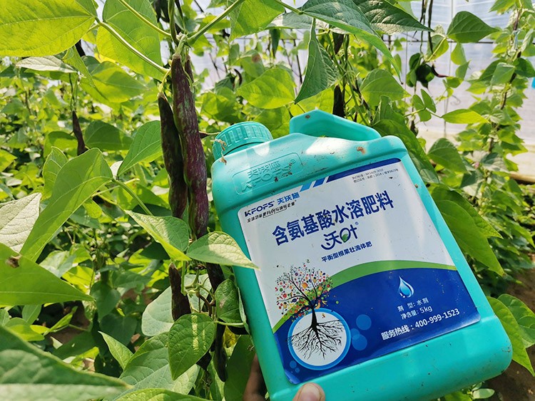 進(jìn)口水溶肥，懂行的人都這么選！