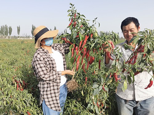 進(jìn)口水溶肥哪個牌子好？