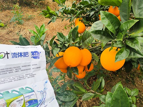 好的水溶肥是什么生產(chǎn)工藝？