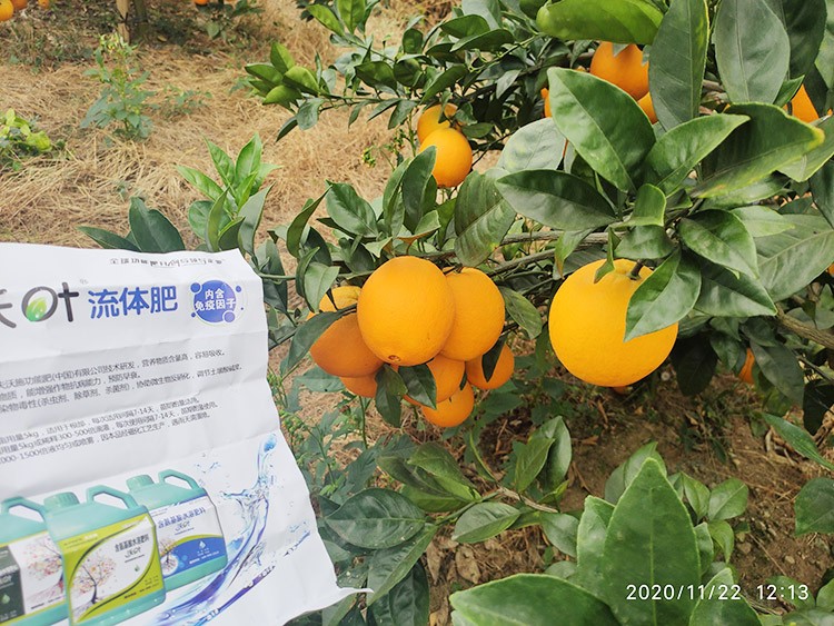 好的水溶肥是什么生產(chǎn)工藝？