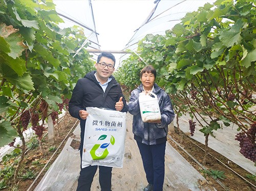 水溶肥廠家夫沃施都說好？好在哪？