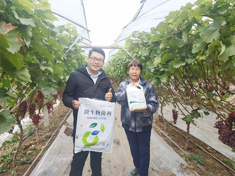 水溶肥廠家夫沃施都說好？好在哪？