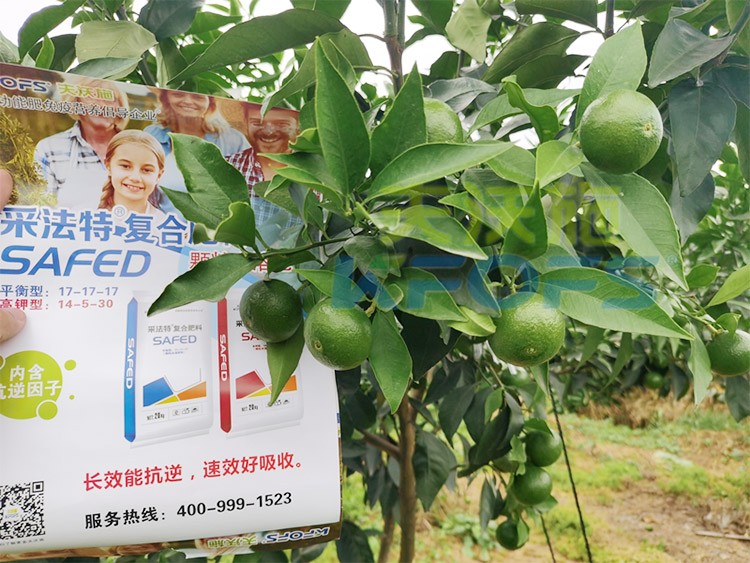 進口水溶肥怎么選？參考這三點就夠了！