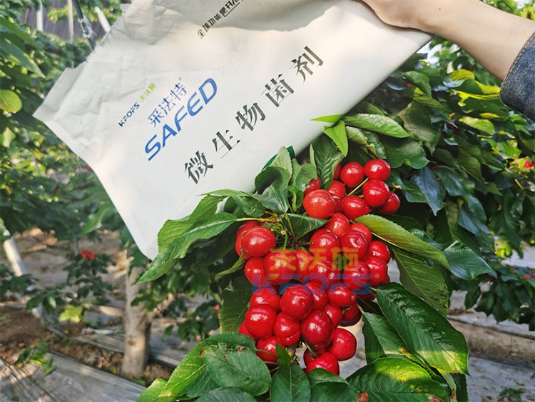 進口水溶肥怎么選？參考這三點就夠了！