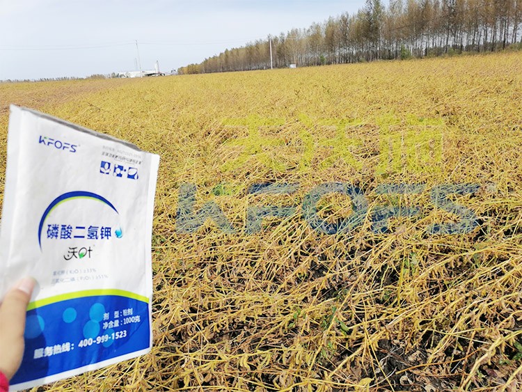 進口磷酸二氫鉀不得不了解的一個品牌！