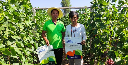 肥料廠家，有經(jīng)驗(yàn)的農(nóng)資人這樣選！