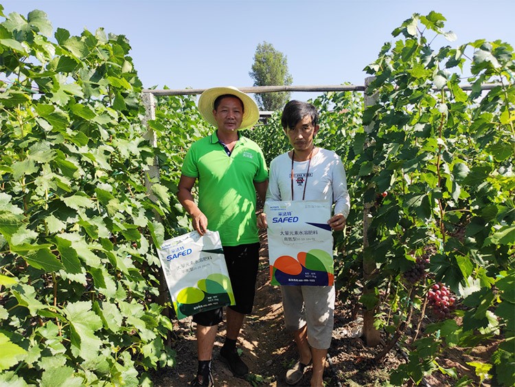 肥料廠家，有經驗的農資人這樣選！