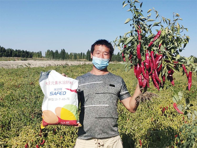 肥料廠家，有經驗的農資人這樣選！