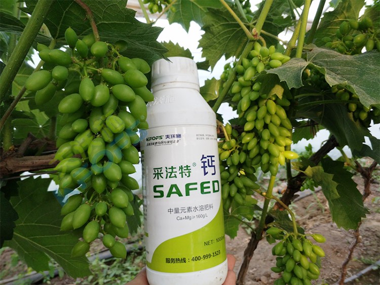 鈣肥什么品牌的比較好？