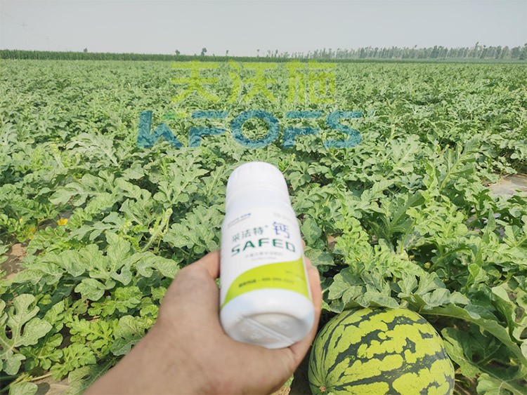 鈣肥什么品牌的比較好？