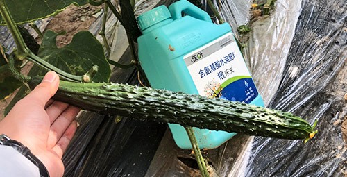 生根劑要安全不傷根，就選這個牌子！