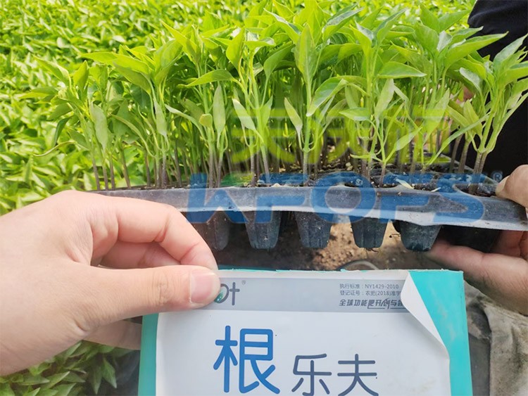 生根劑要安全不傷根，就選這個(gè)牌子！