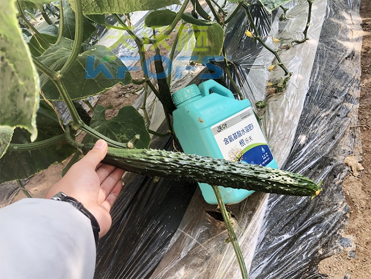 生根劑要安全不傷根，就選這個(gè)牌子！
