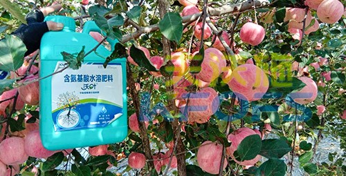 沖施肥怎么去沖施？什么牌子的好？