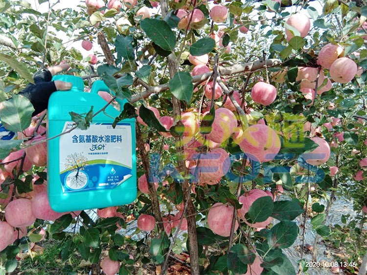 沖施肥怎么去沖施？什么牌子的好？