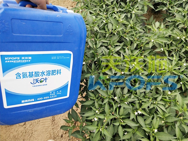 沖施肥怎么去沖施？什么牌子的好？