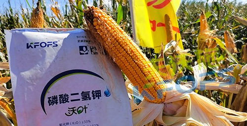 進口磷酸二氫鉀哪個品牌好？