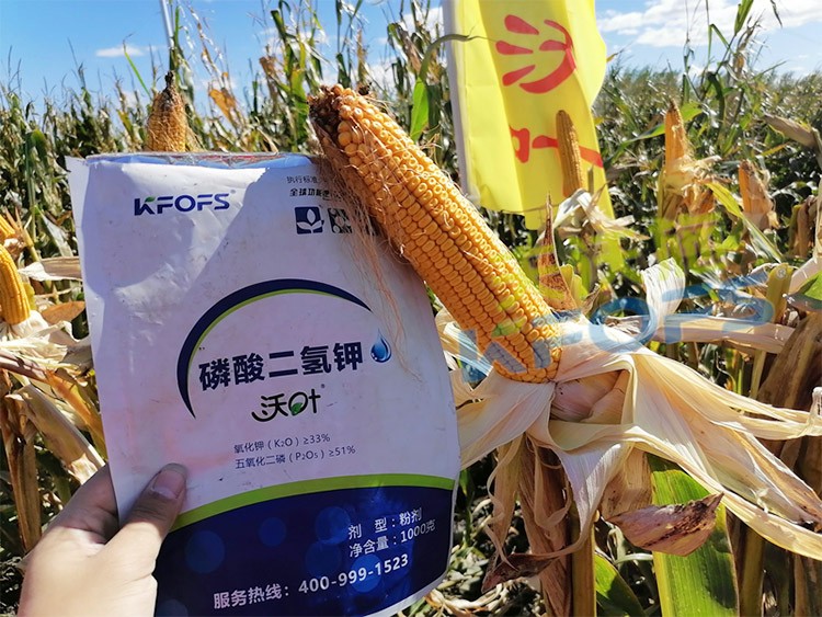 進口磷酸二氫鉀哪個品牌好？