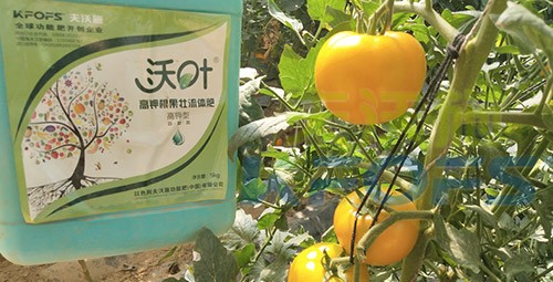 水溶肥的作用，不得不說太強(qiáng)大了！