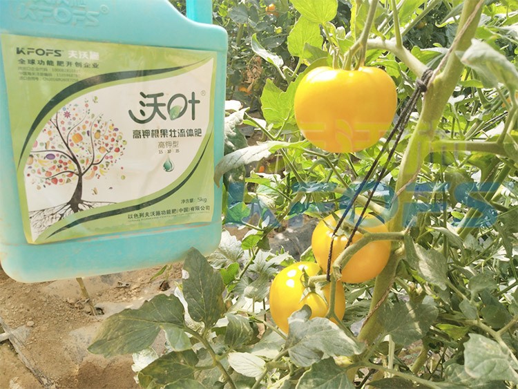 水溶肥的作用，不得不說太強大了！