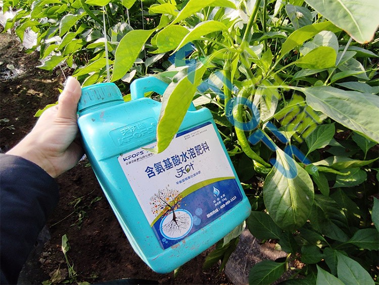 水溶肥的作用，不得不說太強大了！