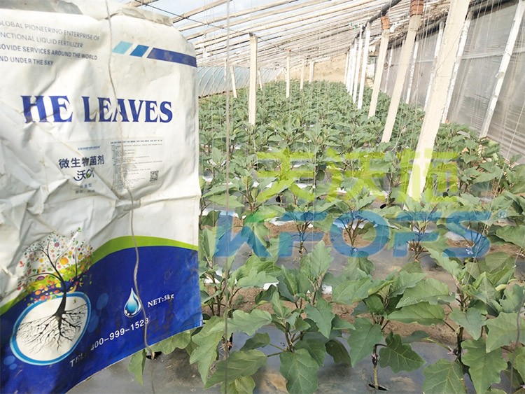 微生物菌劑怎么選擇好？