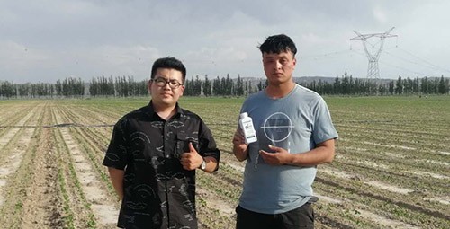 藥害還能恢復(fù)生長(zhǎng)嗎？這篇告訴你！