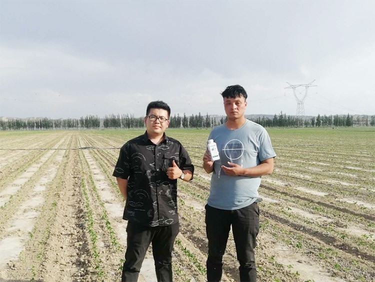 藥害還能恢復(fù)生長嗎？這篇告訴你！